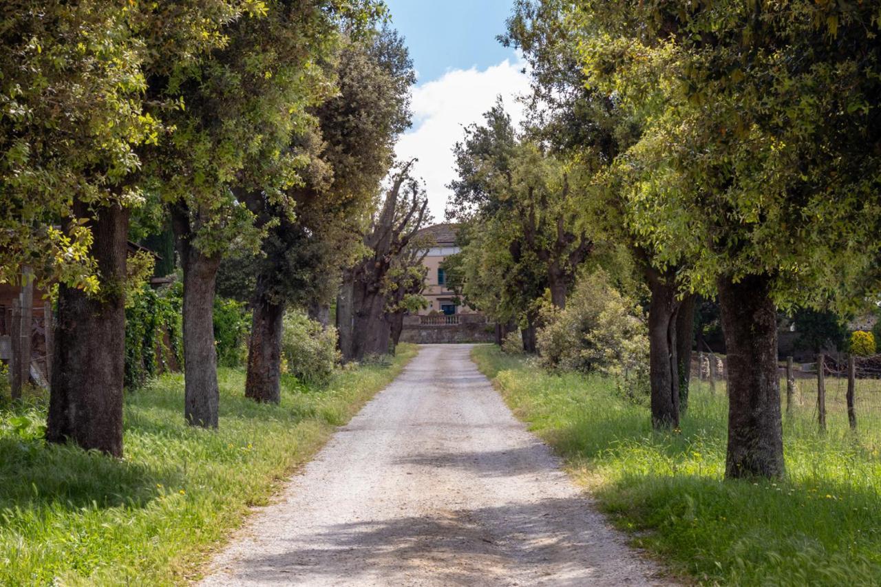 Villa Cornossa Marta Exterior foto